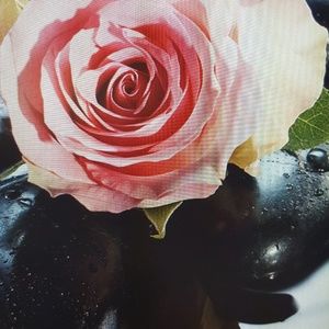 Meet your Posher, Celeste